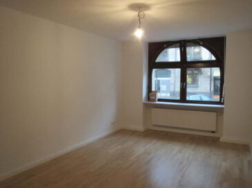 Renovierte, große 3-Zimmer-Altbauwohnung in Karlsruhe - Kriegsstraße